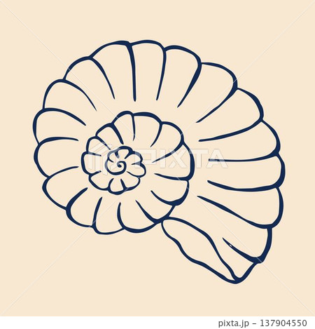 A whimsical vector illustration of a seashell, designed in a doodle style. A whimsical vector illustration of a seashell, designed in a doodle style. 137904550
