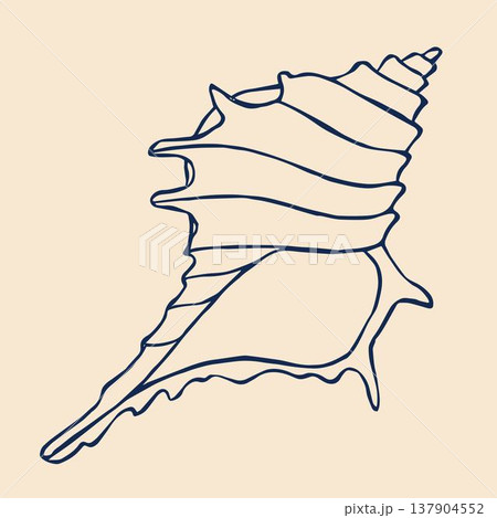 A captivating vector illustration features a spiky seashell in the enchanting mermaidcore style. 137904552
