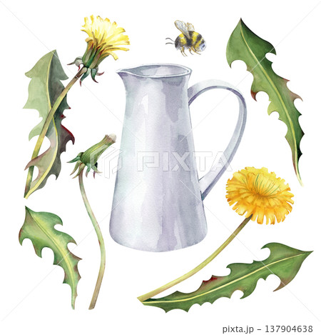A summer set with yellow dandelions, green leaves, a white pitcher, and a flying bumblebee. Watercolor illustration on an isolated background. Realistic wildflowers for summer design, postcards A summer set with yellow dandelions, green leaves, a white pitcher, and a flying bumblebee. Watercolor illustration on an isolated background. Realistic wildflowers for summer design, postcards 137904638
