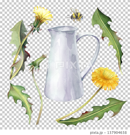 A summer set with yellow dandelions, green leaves, a white pitcher, and a flying bumblebee. Watercolor illustration on an isolated background. Realistic wildflowers for summer design, postcards A summer set with yellow dandelions, green leaves, a white pitcher, and a flying bumblebee. Watercolor illustration on an isolated background. Realistic wildflowers for summer design, postcards 137904638