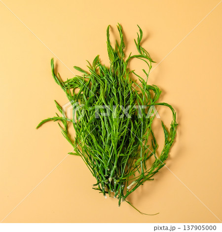 Climbing Wattle or Cha-om vegetables ,Raw material for cooking. 137905000