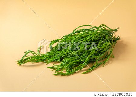 Climbing Wattle or Cha-om vegetables ,Raw material for cooking. Climbing Wattle or Cha-om vegetables ,Raw material for cooking. 137905010