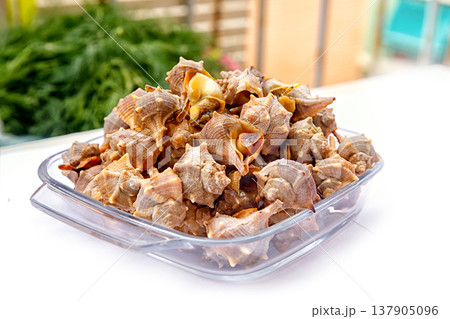 Shells Gathered From the Beach in a Clear Dish Ready for Cooking on a Sunny Day 137905096