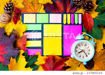 Autumn background of yellow and colored leaves, cones and nuts. place for text. Autumn background of yellow and colored leaves, cones and nuts. place for text. 137905143