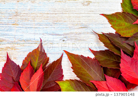 Autumn background. red ivy leaves on a wooden base. place for text. Autumn background. red ivy leaves on a wooden base. place for text. 137905148