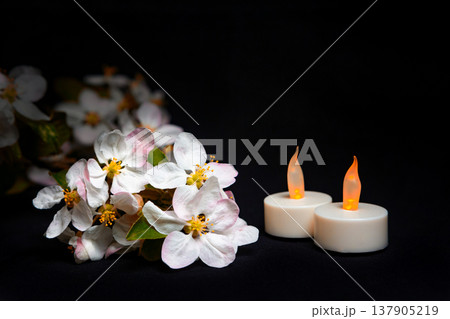 Candles and Flowers on a Dark Background for Remembering a Person or Occasion Candles and Flowers on a Dark Background for Remembering a Person or Occasion 137905219