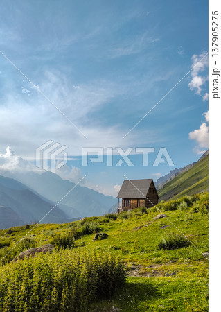 Wooden Cabin on a Lush Mountain Slope 137905276