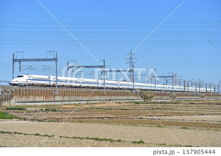 東海道新幹線 新横浜-小田原 JR東海/JR西日本 N700A系 のぞみ ひかり こだま 東海道新幹線 新横浜-小田原 JR東海/JR西日本 N700A系 のぞみ ひかり こだま 137905444