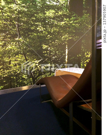 Frankfurt, Germany, 02 September 2017: Leather relaxation lounger in a frequent flyer lounge with forest mural Frankfurt, Germany, 02 September 2017: Leather relaxation lounger in a frequent flyer lounge with forest mural 137905907