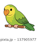 Green parrot illustration, cute tropical bird in cartoon style 137905977