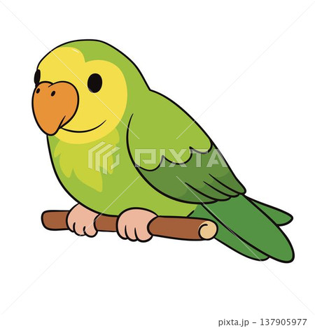 Green parrot illustration, cute tropical bird in cartoon style 137905977