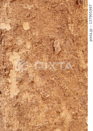 texture of the old wood texture of the old wood 137905997