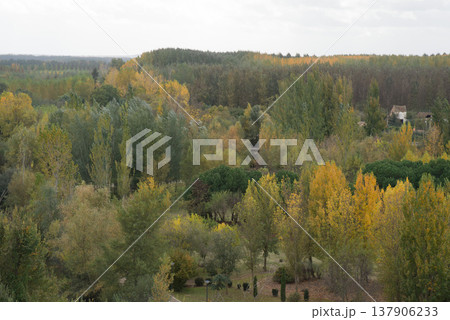 Aerial view of public park in Benavente, Zamora, Spain 137906233