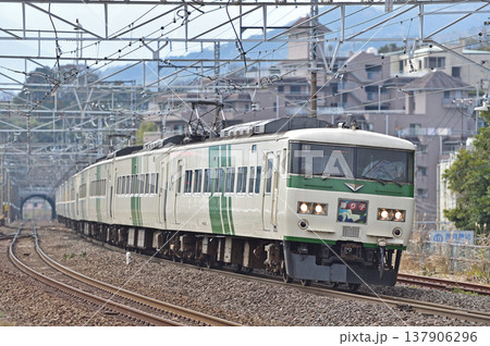 東海道本線　真鶴　JR東日本　185系　A8編成（大宮）　踊り子 137906296