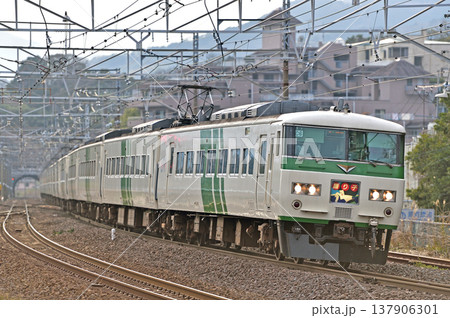 東海道本線　真鶴　JR東日本　185系　C6編成（大宮）　踊り子 137906301