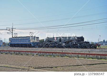 東北本線 栗橋ー東鷲宮 JR貨物 EF65-2081(新鶴見)+シキ801B2 東北本線 栗橋ー東鷲宮 JR貨物 EF65-2081(新鶴見)+シキ801B2 137906547