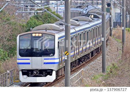 横須賀線 衣笠-久里浜 JR東日本 E217系 Y-20編成(鎌倉) 横須賀線 衣笠-久里浜 JR東日本 E217系 Y-20編成(鎌倉) 137906727