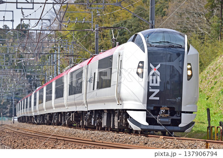 総武本線　四街道－物井　JR東日本　E259系　Ne015編成（鎌倉）　成田エクスプレス　NEX 137906794