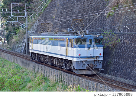 伊東線　網代－伊豆多賀　JR貨物　EF65-2050（新鶴見） 137906899
