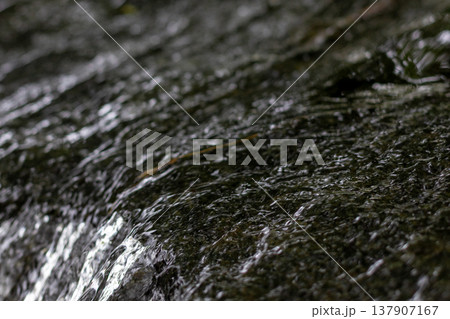 岩肌を流れる清流のクローズアップ 137907167
