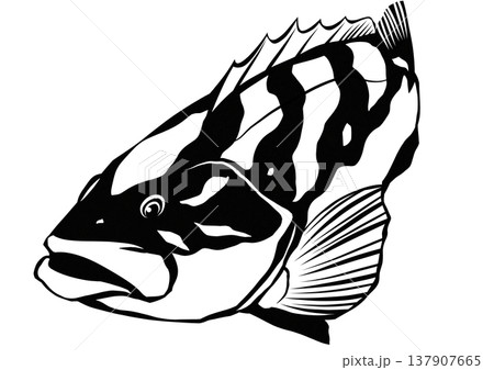 釣り人の憧れの魚クエの切り絵貼り絵イラスト 137907665