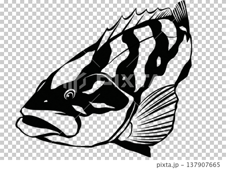 釣り人の憧れの魚クエの切り絵貼り絵イラスト 137907665