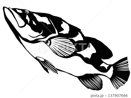 クエは自分が高級魚と呼ばれているのに気づいているかな切り絵貼り絵イラスト 137907666