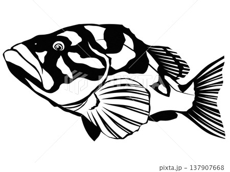 顔はグロテスクだけど何だか可愛い魚クエの切り絵貼り絵イラスト 137907668