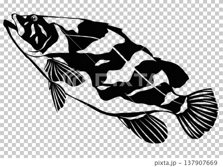 白身魚で美味しい高級魚クエの切り絵貼り絵イラスト 137907669