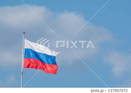 Russian tricolor flag waving in the wind against a blue sky. Fieldbird sits on a branch in spring with a blurred background. Russian tricolor flag waving in the wind against a blue sky. Fieldbird sits on a branch in spring with a blurred background. 137907872