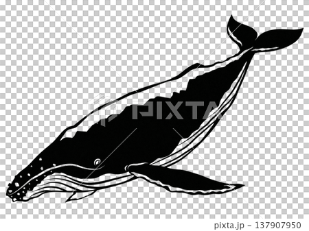 Cool humpback whale paper cutout illustration Cool humpback whale paper cutout illustration 137907950