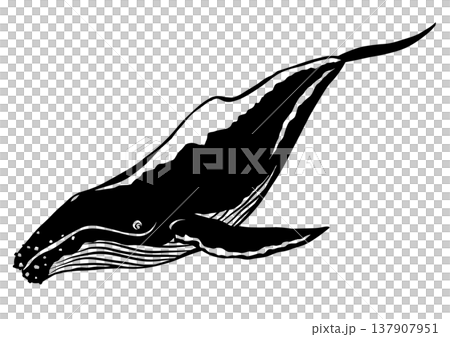 A paper-cut collage illustration of a humpback whale swimming leisurely. A paper-cut collage illustration of a humpback whale swimming leisurely. 137907951