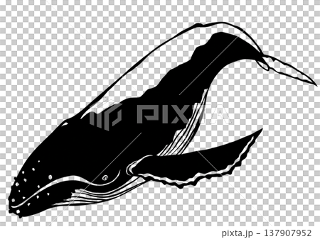 A paper-cut collage illustration of a humpback whale, a large mammal. A paper-cut collage illustration of a humpback whale, a large mammal. 137907952
