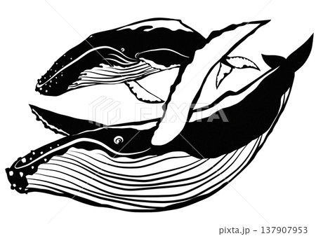 空を泳いでるようなザトウクジラの切り絵貼り絵イラスト 137907953