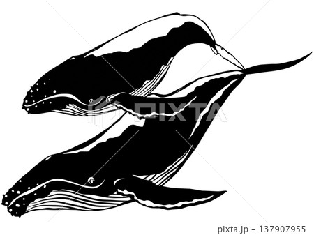 こんな感じで泳ぐと鯨はやっぱり哺乳類切り絵貼り絵イラスト 137907955