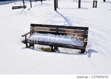 雪の中のベンチ 雪の中のベンチ 137908476