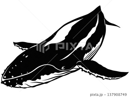 大型哺乳類ザトウクジラのカッコイイ白黒切り絵貼り絵イラスト 137908749