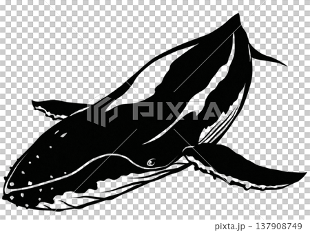 大型哺乳類ザトウクジラのカッコイイ白黒切り絵貼り絵イラスト 137908749