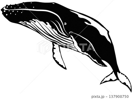 まったり泳ぐザトウクジラの素敵な切り絵貼り絵イラスト まったり泳ぐザトウクジラの素敵な切り絵貼り絵イラスト 137908750
