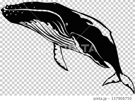 まったり泳ぐザトウクジラの素敵な切り絵貼り絵イラスト まったり泳ぐザトウクジラの素敵な切り絵貼り絵イラスト 137908750
