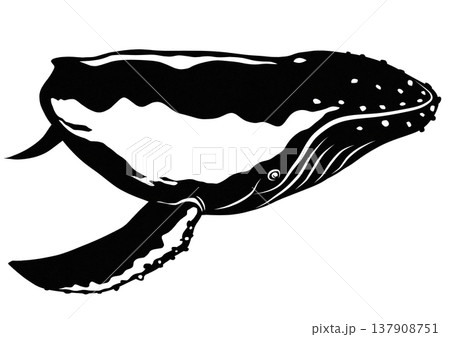 ザトウクジラの素敵な白黒切り絵貼り絵イラスト 137908751