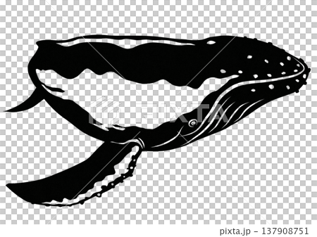 ザトウクジラの素敵な白黒切り絵貼り絵イラスト 137908751