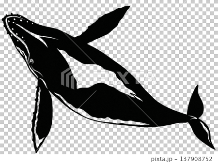 A black and white paper-cut collage illustration of a humpback whale viewed from above. 137908752