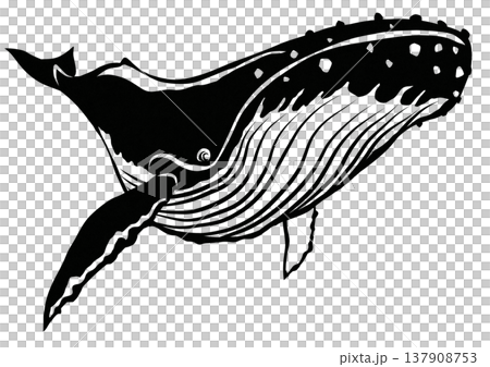 Cool humpback whale paper cutout illustration 137908753
