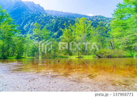 【絶景】初夏の上高地・新緑の田代池【長野県】 【絶景】初夏の上高地・新緑の田代池【長野県】 137908771