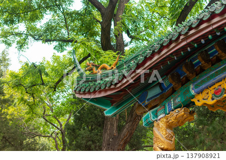 Longtan Pool Park (Pool of the Dragon Park), recreational urban park located in Dongcheng District in Beijing, China Longtan Pool Park (Pool of the Dragon Park), recreational urban park located in Dongcheng District in Beijing, China 137908921