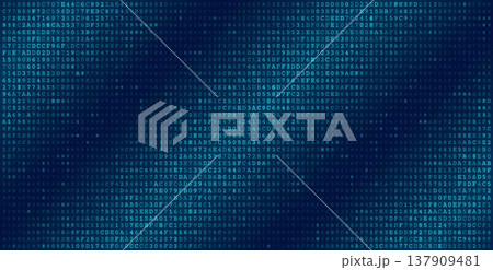 Systemic Data Matrix - Full Frame Binary Code Distribution 137909481