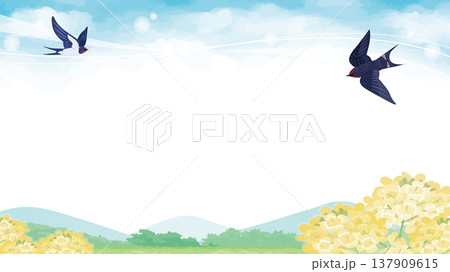 里山の春を彩る菜の花とツバメのベクターイラスト 里山の春を彩る菜の花とツバメのベクターイラスト 137909615