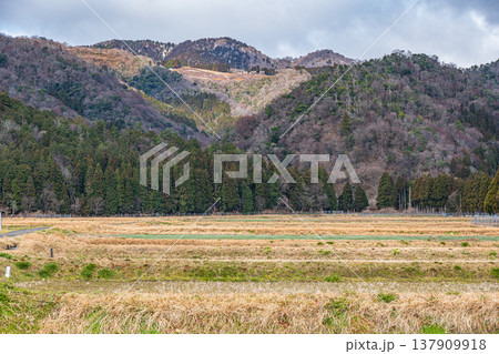 マキノ町の田園風景　滋賀県高島市 137909918