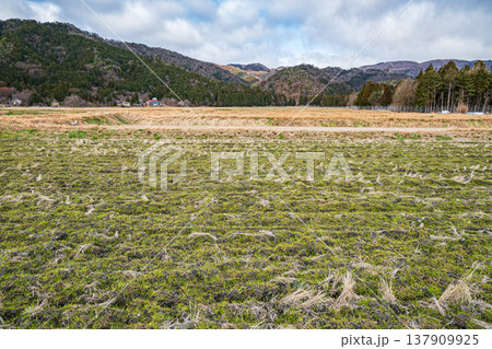 マキノ町の田園風景　滋賀県高島市 137909925